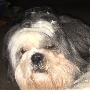 Meet your Posher, Bryan